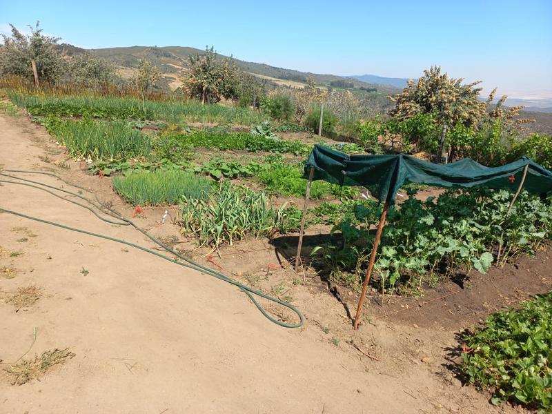 4 Bedroom Property for Sale in Piketberg Rural Western Cape